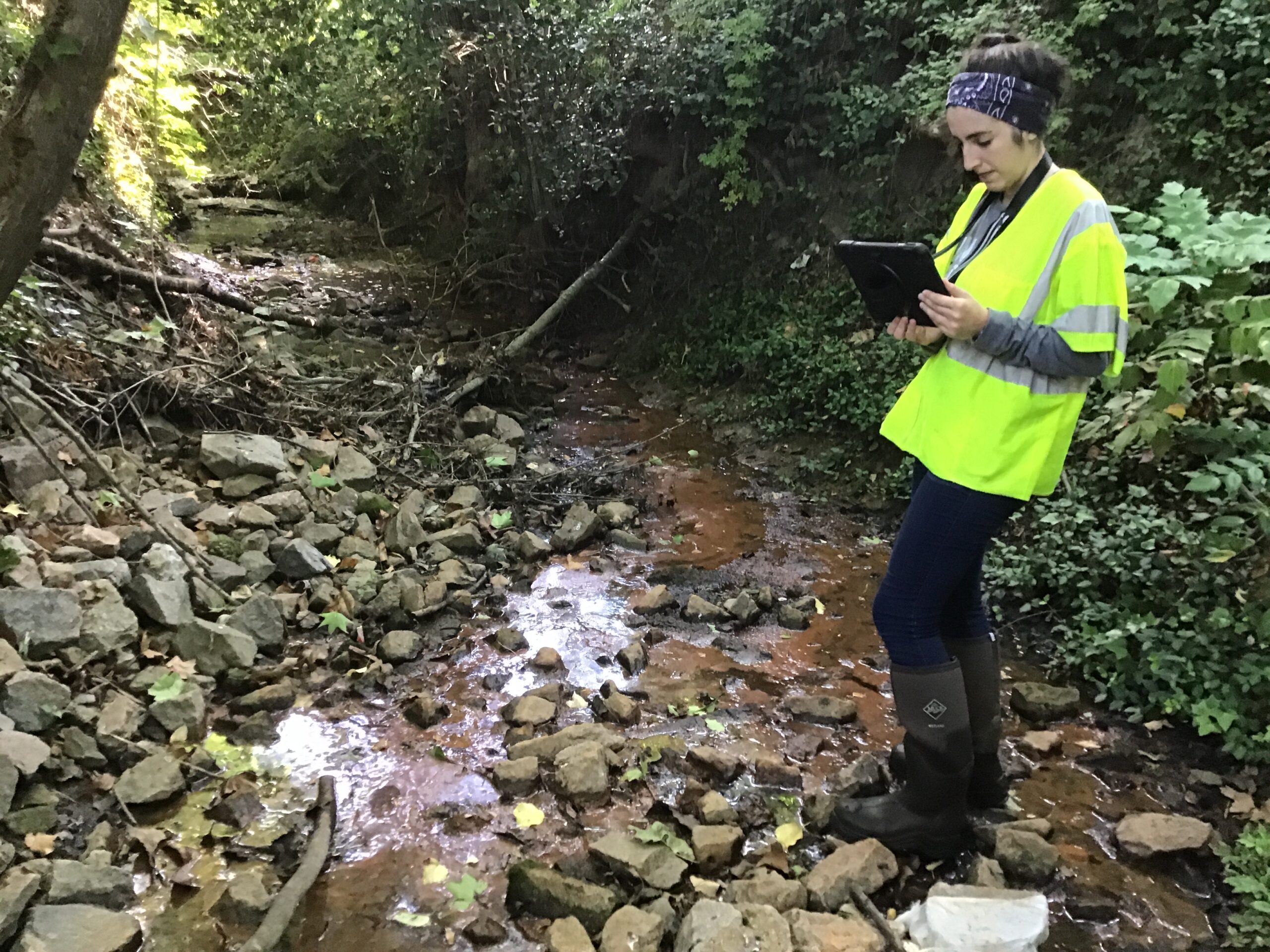 Leandra wearing a safety shirt on stream restoration site using tablet to take data.