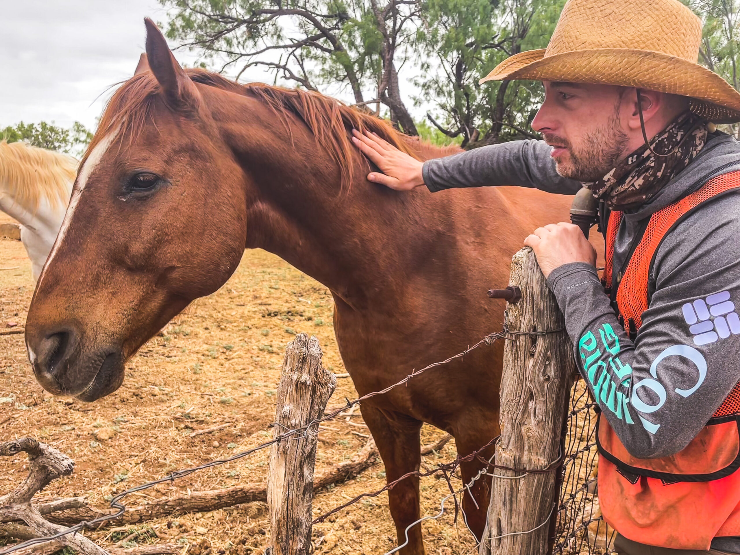 Richmond environmental team member with horse.