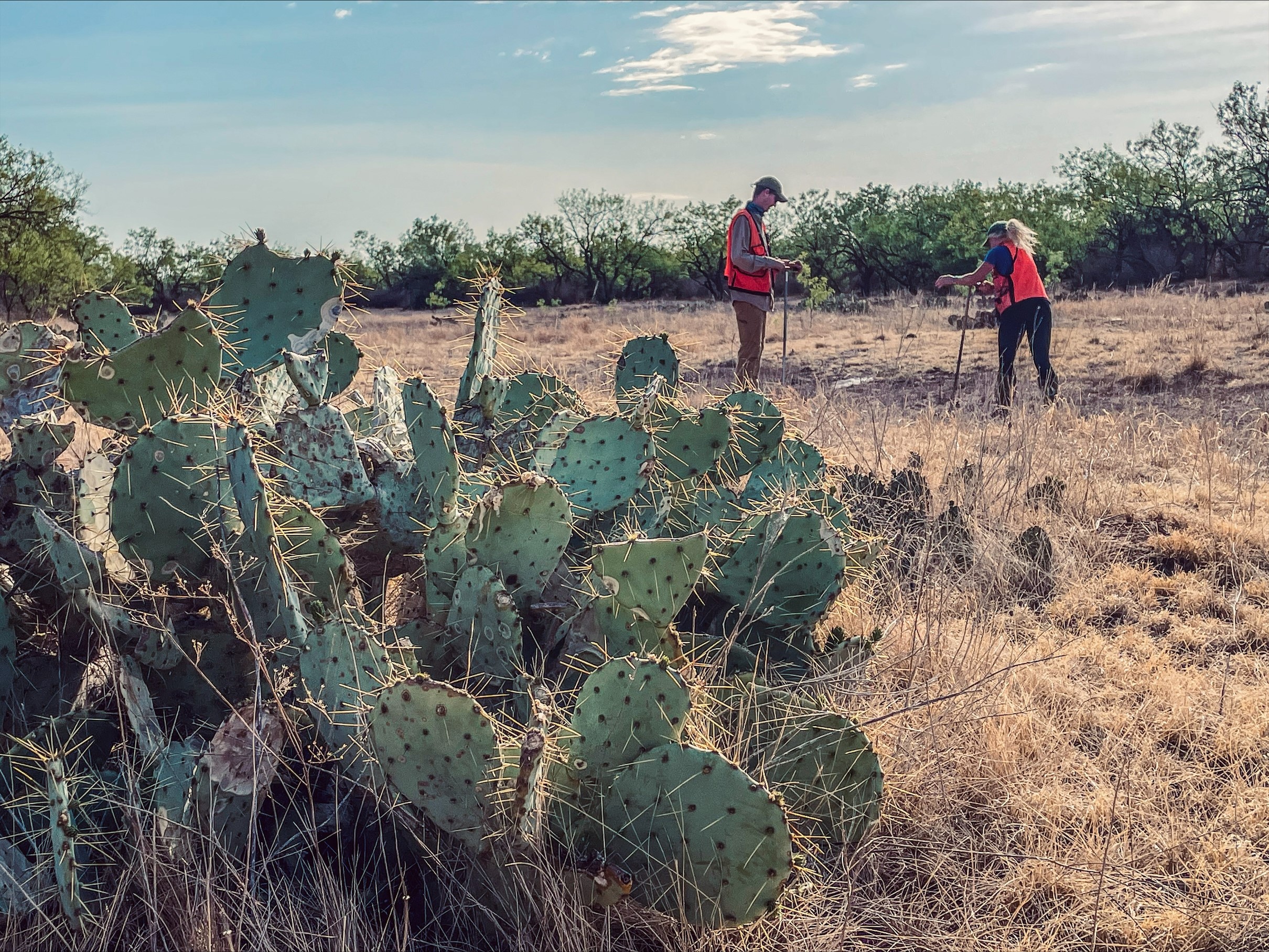 Richmond environmental team on site with cacti.