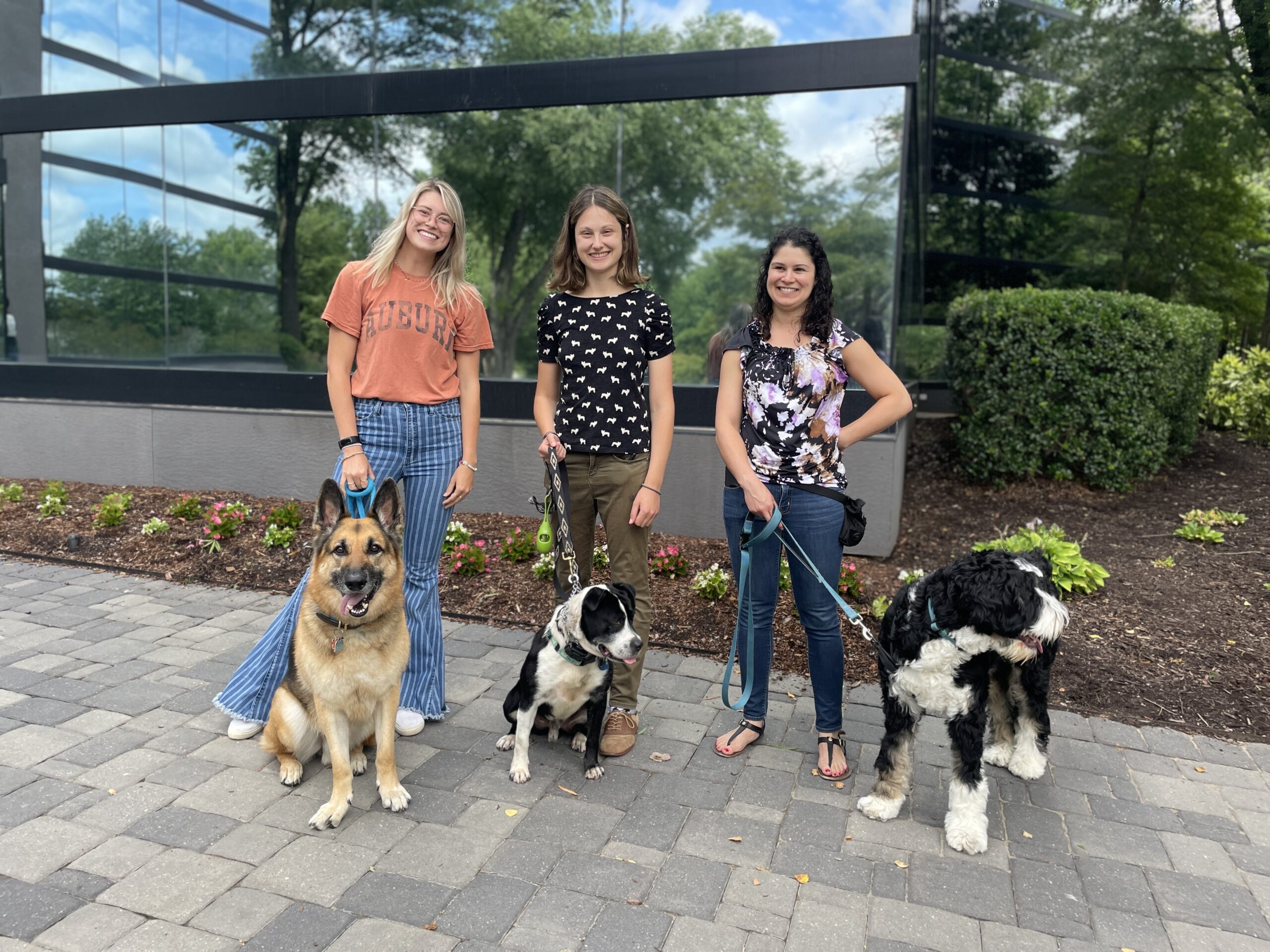 How To Build Your Own Place Board - The Ladies Working Dog Group